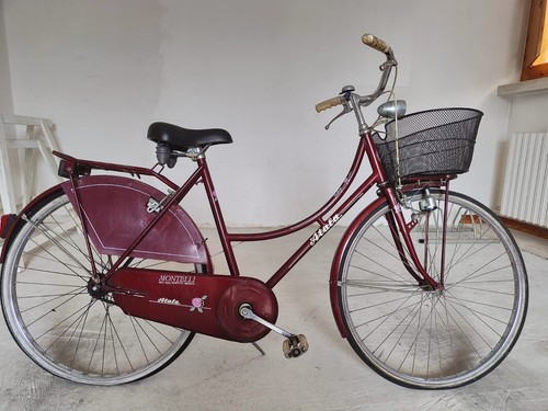 Bici atala unisex - unisex, colore