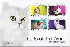 Nevis 2011 gatti, ragdoll, angora turca, maine coon, foresta norvegese, animali MNH