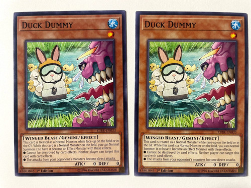 Duck dummy cibr en033 - duck, cibr-en033