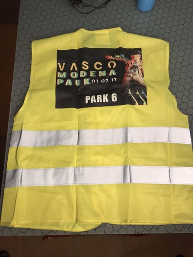 Vasco rossi modena park - rossi,