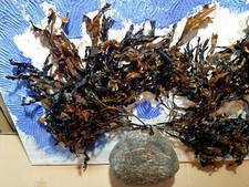 Quadro acrilico assemblaggio