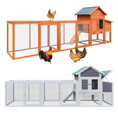 Pollaio 122 pollici - ,