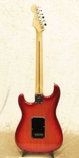 Fender Player Stratocaster