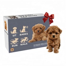 Nicco Robot Cane, Cucciolo