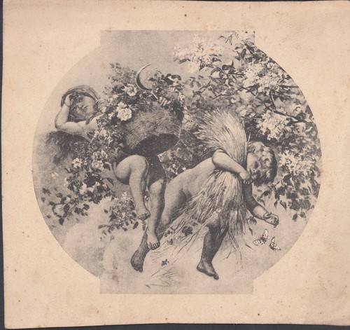 Rara stampa antica 1900 - rara,