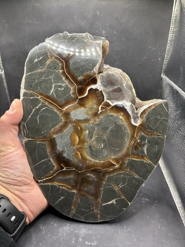 Minerali septaria van - **,