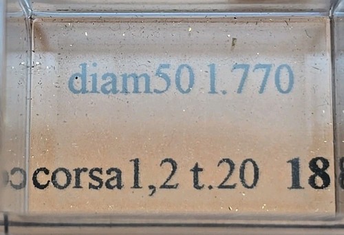 Pulsanti crono 2pcs vintage - pulsanti,
