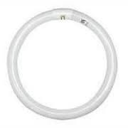 Neon Circolare 22w G10q 6500k