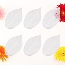  6 pezzi di fiori secchi