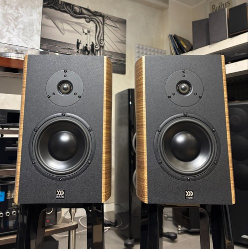 Morel avyra 622 - morel, walnut