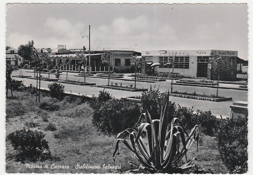 Marina carrara massa - di,