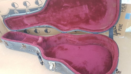 Custodia dreadnought acustica - custodia,