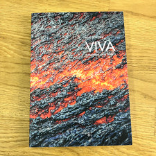 IRENE BIOLCHINI: VIVA. Ceramica arte libera (GLI ORI, 2021)