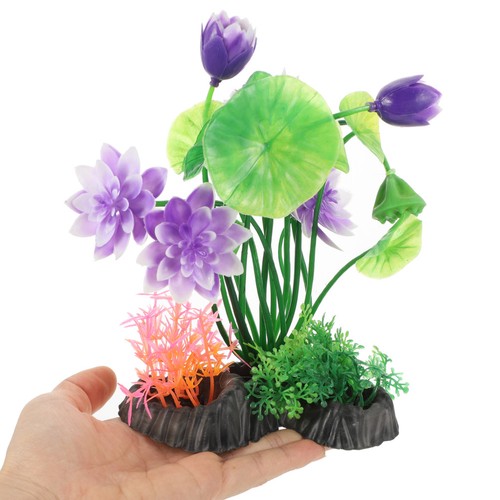 Piante acquario per pesci - ,