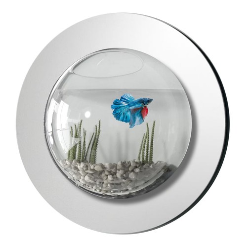 Nuovo acquario parete con - nuovo!,