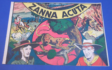 Albi urra 1 zanna - urra', n.