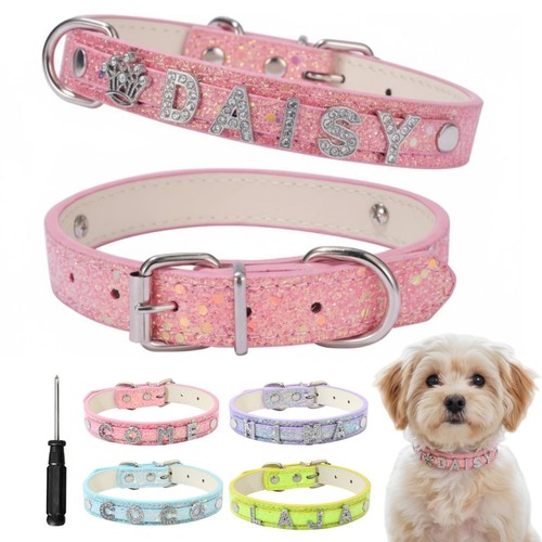 Collare per cani - collare,