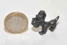 Piccolo Cane Schnauzer Nano