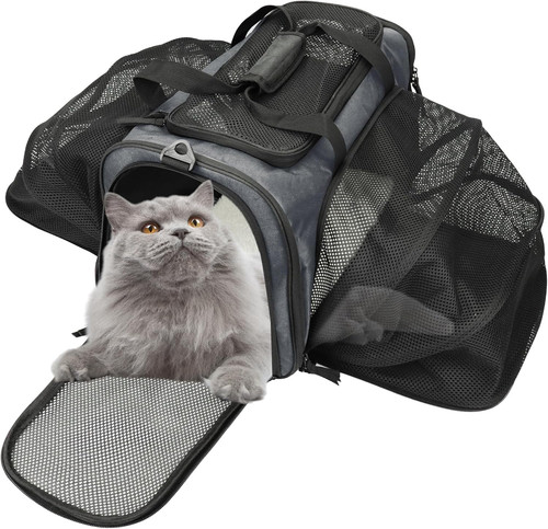 Borsa per trasporto - borsa,