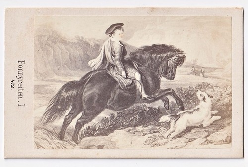 Equitazione pony - i.,