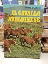 IL CAVALLO AVELIGNESE, Franco