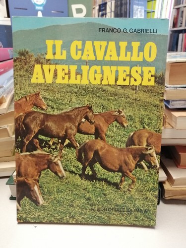 Cavallo avelignese franco - cavallo, avelignese,