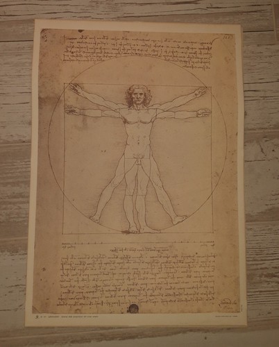 Stampa leonardo l uomo - d.10,