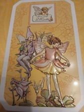 Biscotto Marie Ange in latta