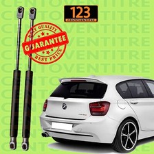 Molle a Gas Pistoni Pistoncini