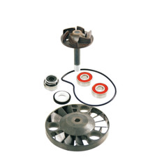 KIT REVISIONE POMPA ACQUA RMS