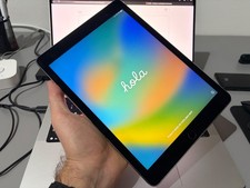 iPad Pro 9.7 256 GB Wi-Fi +