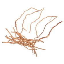  20 Pcs Legno Acquario Legni