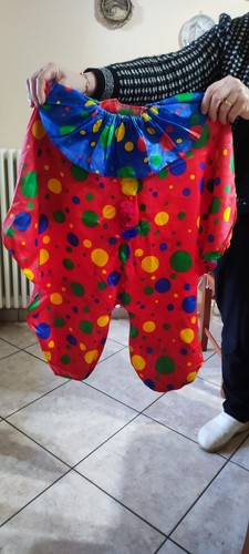 Vestito carnevale - vestito,