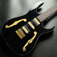 Ibanez PGM50 Chitarra