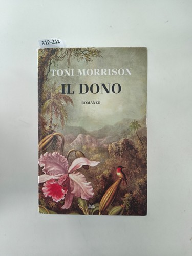 Dono toni morrison - il,