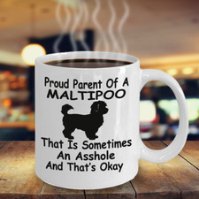 MALTIPOO dog,Maltipoos