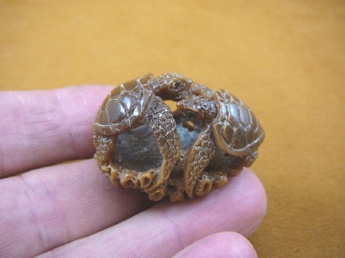 Coppia - (tb-turt-101),