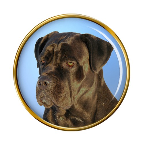 Cane corso dog lapel pin - dog,