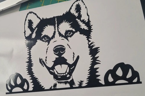 Husky wolf cane - 1x, vinile