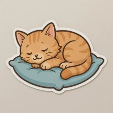 Gattino che dorme su cuscino