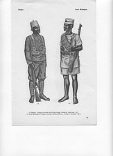 2 TAVOLE UNIFORMOLOGICHE