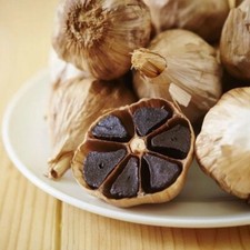 AGLIO NERO - ALLIUM NIGRUM, 10