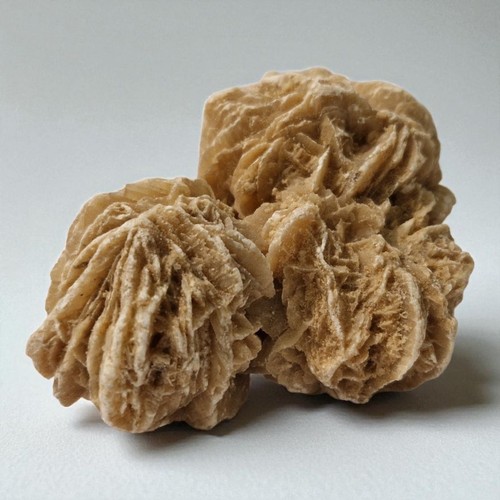 Rosa del deserto - rosa,