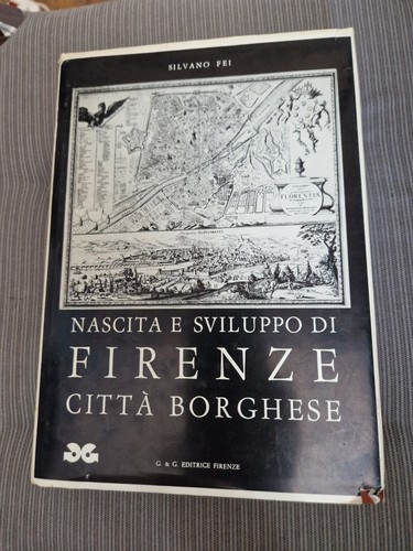 Nascita sviluppo firenze - sviluppo,