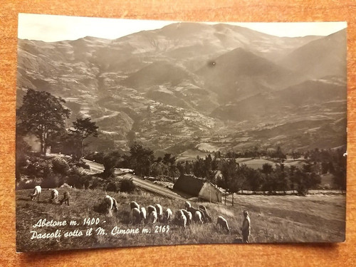 Abetone pascoli - (pistoia).,