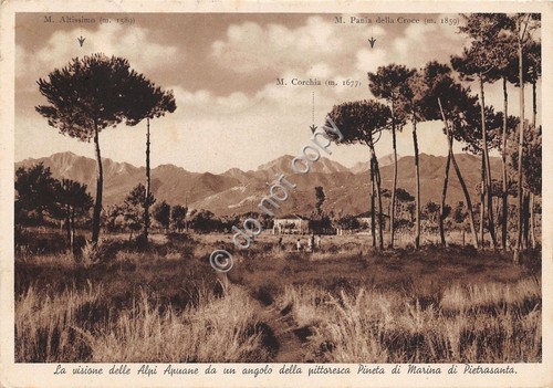 Cartolina postcard marina - cartolina,