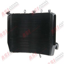 Radiatore Alluminio Per