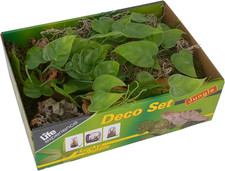 Life Esperienza Terrario Dã