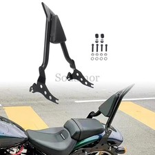 Schienale Sissy Bar Passeggero