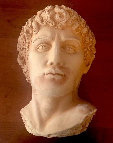 Testa busto terracotta - testa, in